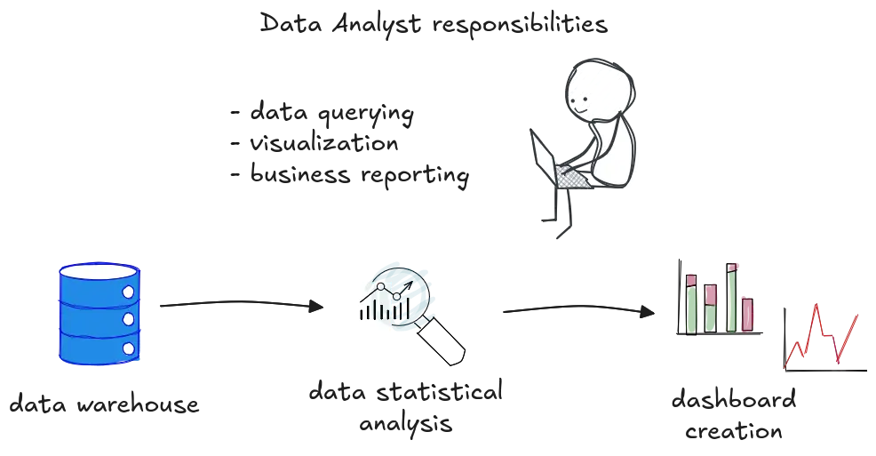Data analyst creating dashboards from clean, structured datasets.